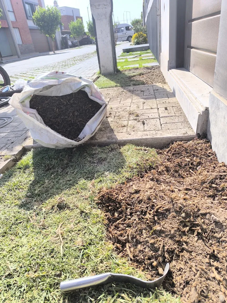 Proceso durante la creación del jardín exterior residencial