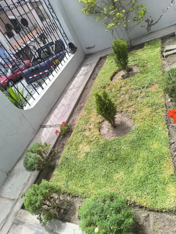 Resultado de mantenimiento de jardín residencial en Arequipa