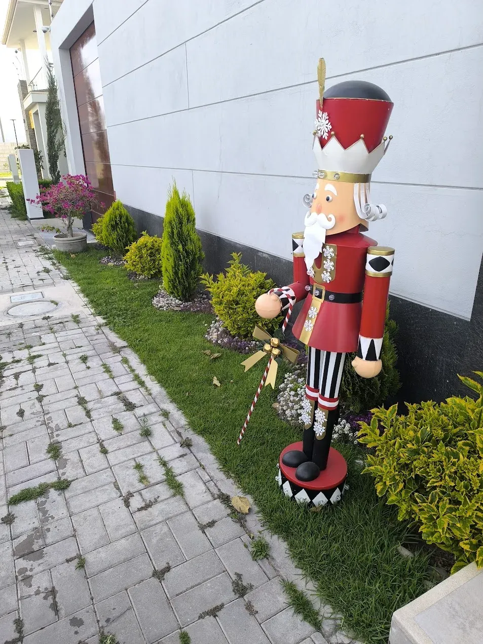 Jardín antes de mantenimiento (referencia Fernandini)