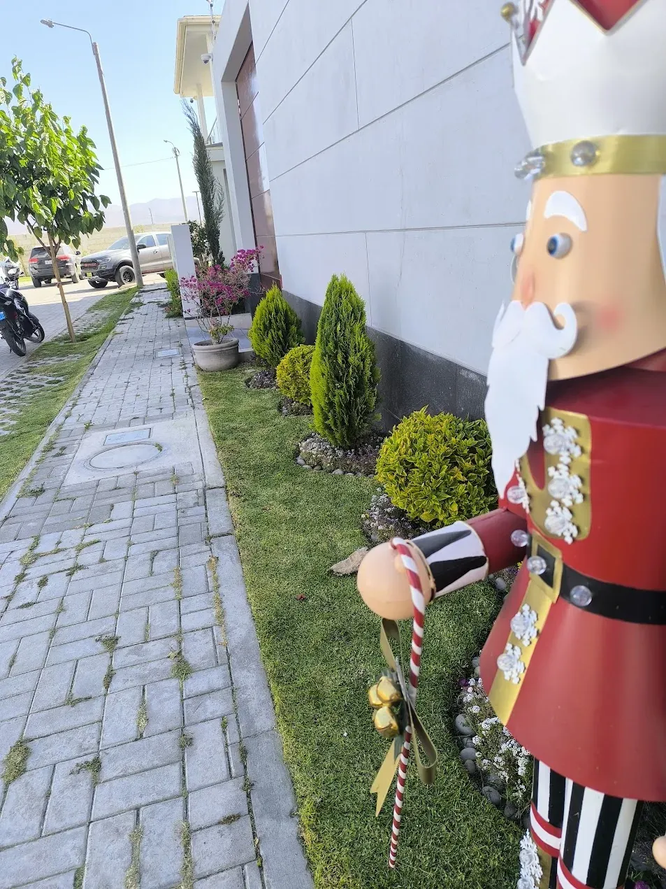 Jardín residencial luego de mantenimiento integral