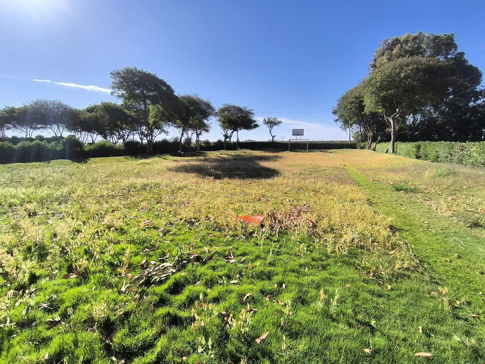 Cancha natural antes de mantenimiento (La Joya)