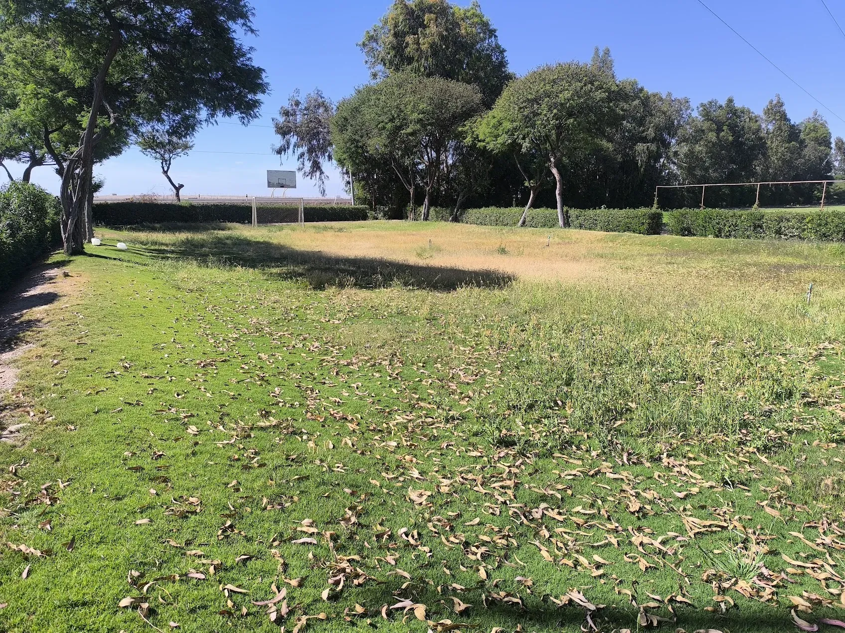 Cancha natural antes de mantenimiento: vista complementaria (La Joya)
