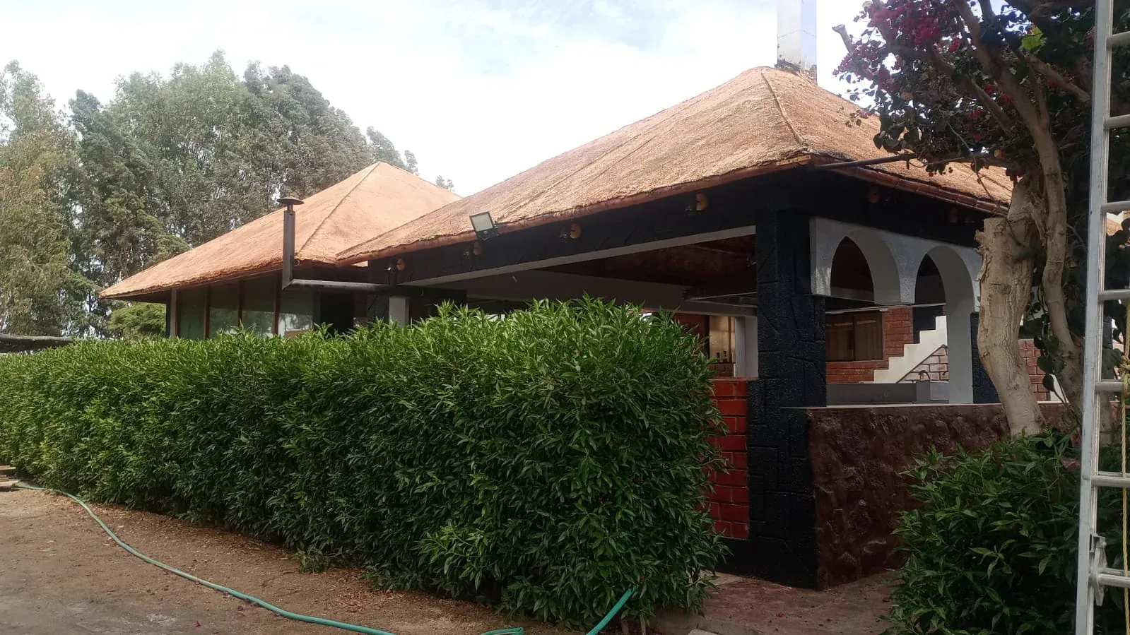 Cerco vivo mioporo antes de mantenimiento (La Joya)