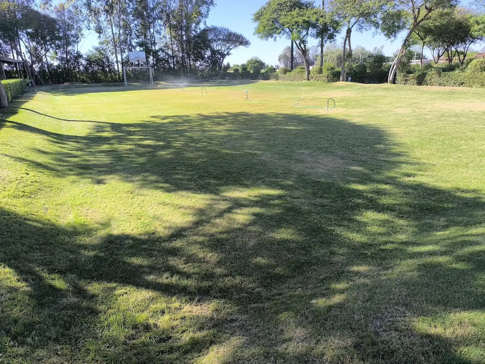 Área verde de La Joya después del mantenimiento de Decolumax
