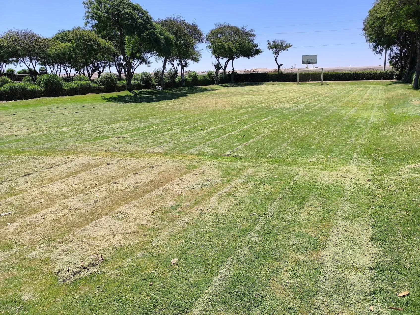 Mantenimiento durante en cancha natural (La Joya)