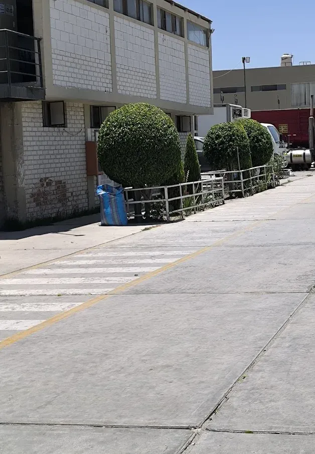 Área con especies ornamentales después de mantenimiento (referencia Yura)