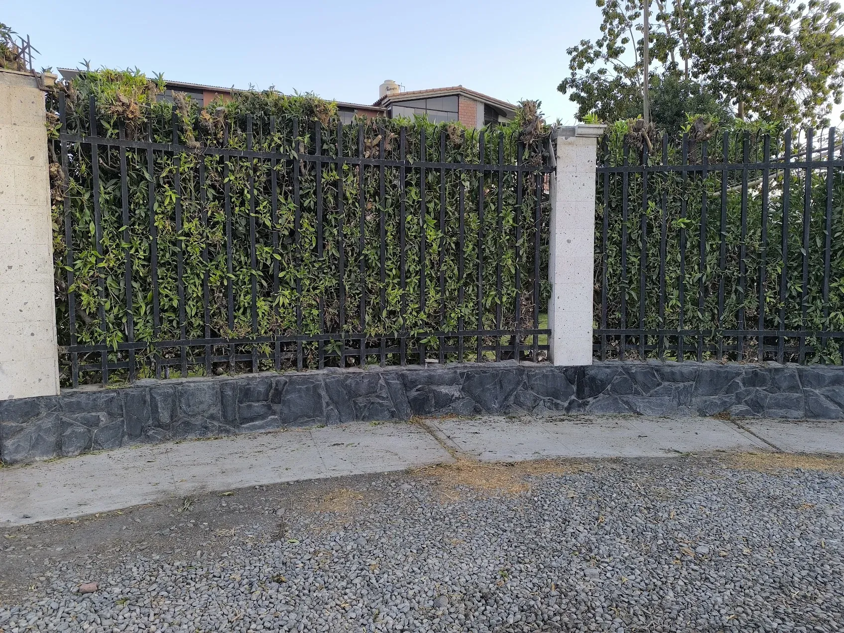 Perfilación y ordenamiento de borde/pared en sede residencial