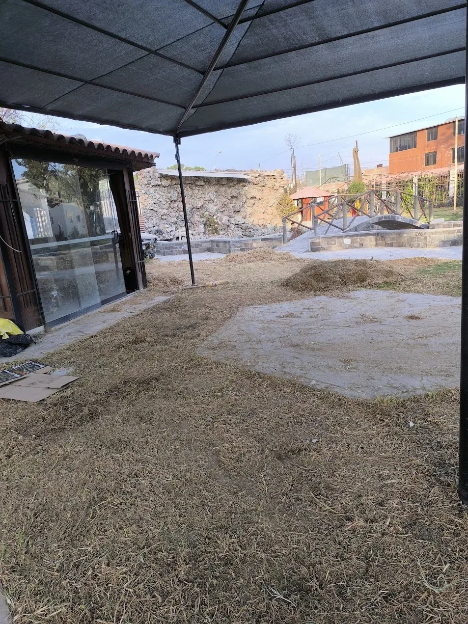 Proceso durante la recuperación de área verde en sede residencial