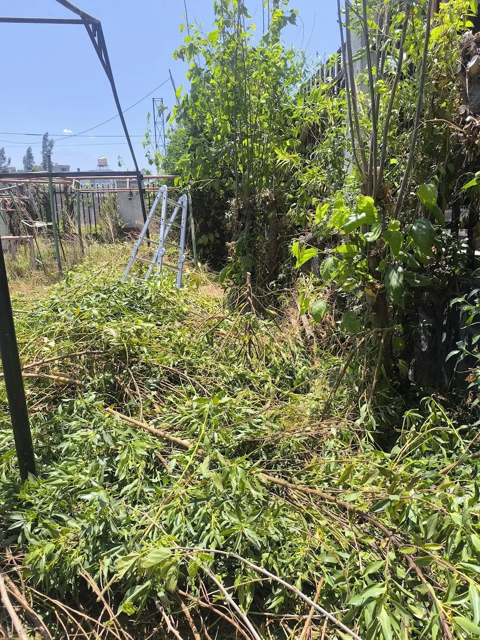 Área verde recuperada en sede residencial en Socabaya, Arequipa