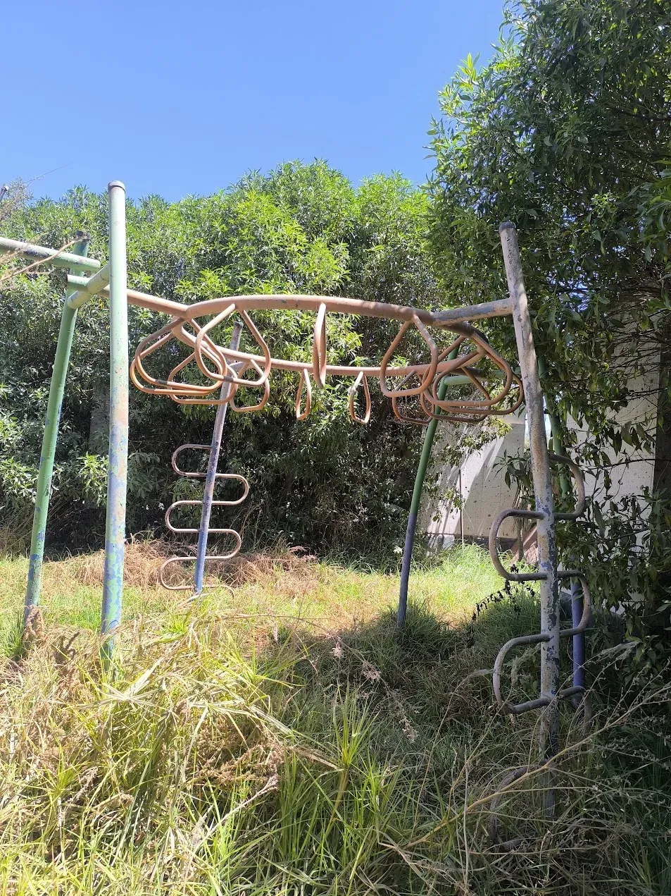 Área verde antes del proceso de recuperación en sede residencial