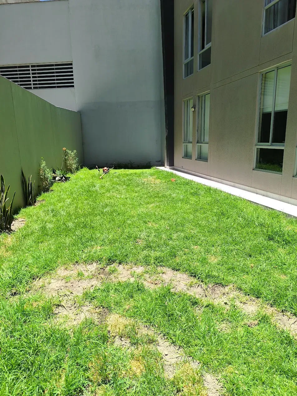 Jardín antes del rediseño (TorrePlus Home)